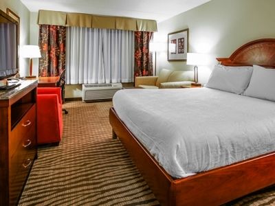 Hilton Garden Hotel 3*
