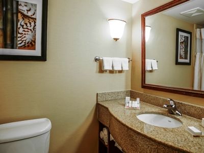 Hilton Garden